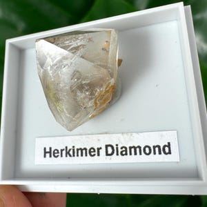 Peut inclure: Un cristal de diamant Herkimer clair dans une boîte blanche. Le cristal a une forme à multiples facettes avec des inclusions internes et une teinte dorée. L'étiquette en dessous indique "Herkimer Diamond".