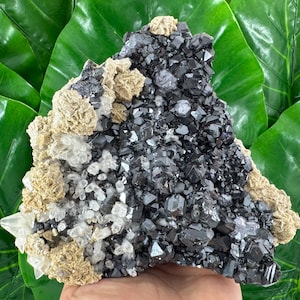 Amazing Sphalerite,Galena,Rhodochrosite and Quartz from Trepca,Kosovo,Trepca Stari Trg Mine,Trepca complex,Trepca valley, Mitrovica,N552