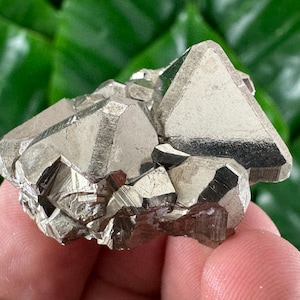 Museum Octahedral Pyrite Specimen: Peruvian Iron Pyrite Cluster