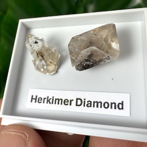 Könnte beinhalten: Zwei Herkimer-Diamanten werden in einer weißen Schale präsentiert. Die Kristalle sind klar mit dunklen Einschlüssen und liegen auf einer weißen Oberfläche. Das Etikett darunter lautet "Herkimer Diamond".