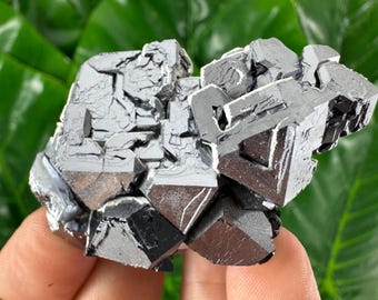 Toppprov av galena från Krushev dol-gruvan, Madan, Bulgarien, mineraler, prover, kristaller, bulgariska mineraler, N77