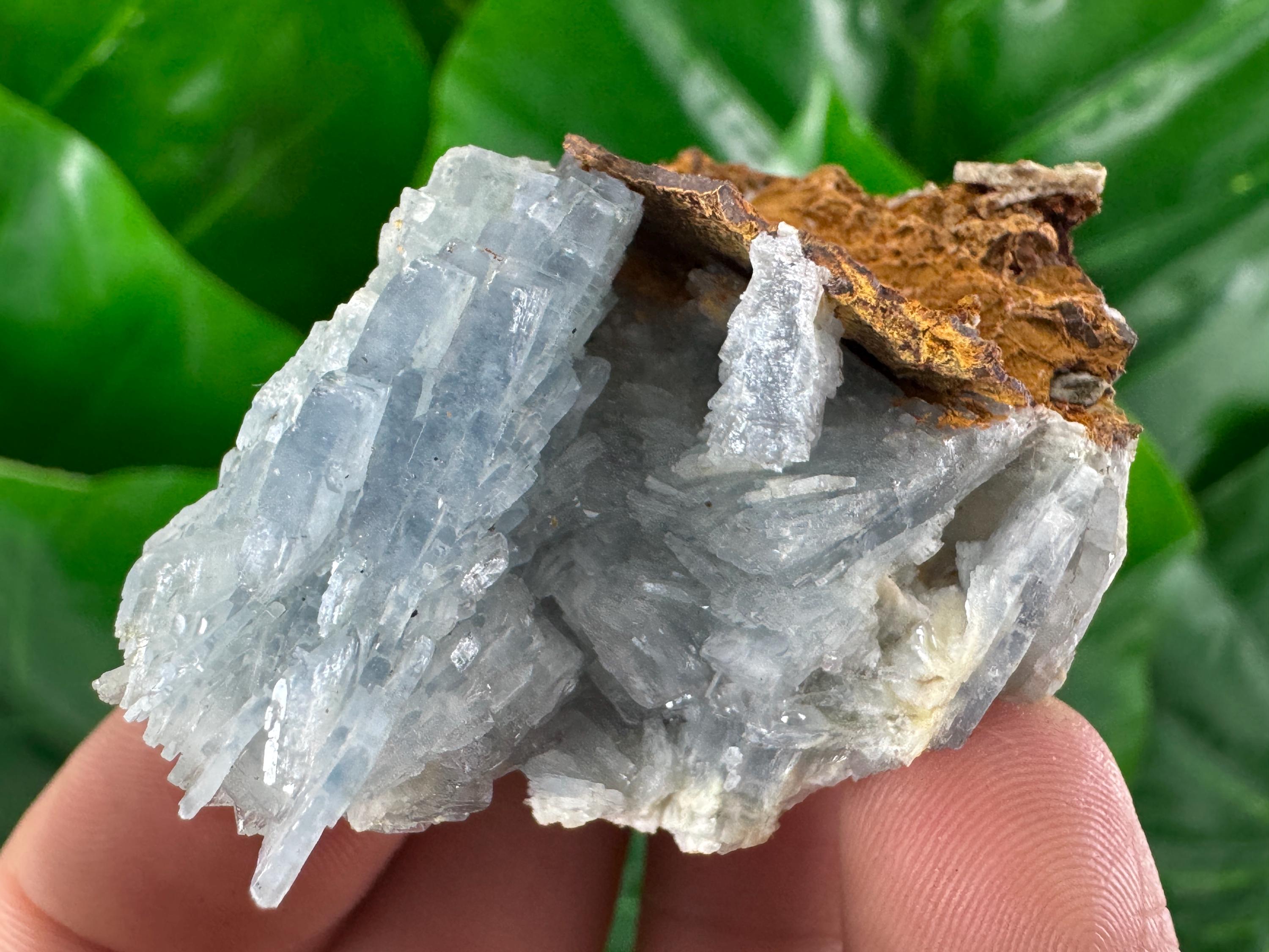 バライト 重晶石 コロラド産 鉱石 鉱物 ミネラル 標本 原石 母岩付き バライト 重晶石 コロラド産 鉱石 鉱物 ミネラル 標本 原石 母岩付き