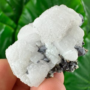 Rare Fluorescent Calcite with Galena, Pyrite,Quartz from Djurkovo mine,Laki,Bulgaria,Calcite Collector,UV Reaction,UV Reactive crystal N36