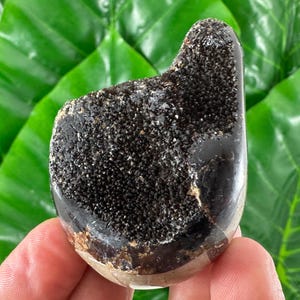 Può includere: Una pietra lucida, di colore scuro, con una superficie ruvida e strutturata sulla parte superiore. La pietra è tenuta in mano e lo sfondo è pieno di foglie verdi. La pietra ha una finitura liscia e lucida sul fondo e sui lati.