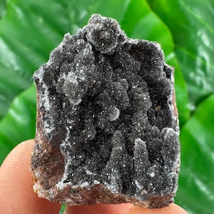 May include: A dark gray mineral specimen with a textured, crystalline surface. The mineral has a rough, uneven shape and is held against a backdrop of green leaves. The crystals have a sparkling appearance.