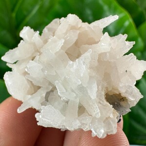 May include: A cluster of white calcite crystals with a delicate, feathery appearance. The crystals are arranged in a random, organic pattern, creating a unique and beautiful display.