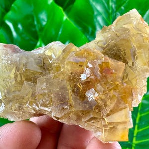 Yellow Fluorite from Moscona Mine,Spain,Mineral Specimen,Yellow Fluorite,Fluorite from Spain,Collection,Big Fluorite,