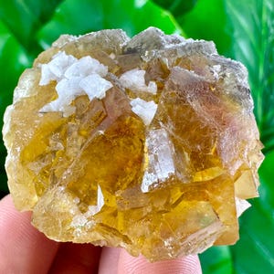 Yellow Fluorite with Calcite from Moscona Mine,Spain,Mineral Specimen,Yellow Fluorite,Fluorite from Spain,Collection,Big Fluorite,