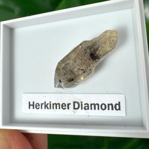 Peut inclure: Un cristal de diamant Herkimer, présenté dans une boîte blanche. Le cristal est de couleur brun clair translucide avec des inclusions sombres. L'étiquette en dessous indique "Herkimer Diamond".