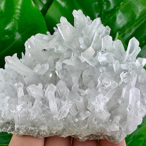 Beautiful Quartz cluster from Borieva mine,Madan,Bulgaria,Mineral Specimen,Home Decor,Crystal,Healing crystal