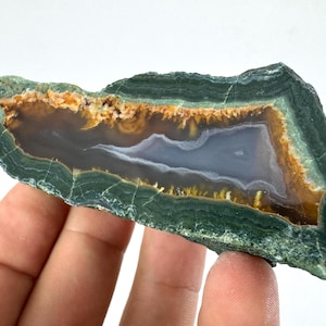 May include: A polished agate slice featuring a dark green outer crust with concentric banding. The interior reveals a translucent, light blue-grey centre surrounded by a vibrant, crystalline golden-brown border with intricate, jagged mineral formations.