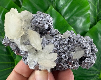 Galena with Calcite from Borieva mine ,Madan,Bulgaria,Mineral,Crystal,Home decor,Collection N583