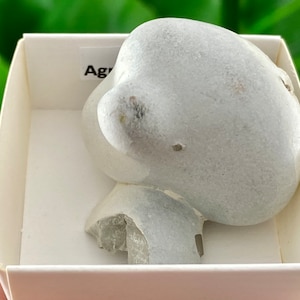 May include: A white, smooth, rounded stone with a rough, textured base. The stone is displayed in a white box with the word "Agate" written on the side.