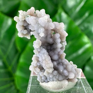 Puede incluir: Un espécimen de ágata uva de color lavanda pálido que presenta un grupo de pequeñas formaciones cristalinas esféricas y botrioidales. La estructura mineral tiene un aspecto translúcido y esmerilado con una textura orgánica irregular.