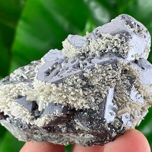 Incredible Galena with Calcite,Sphalerite and Quartz from Krushev dol mine,Madan,Bulgaria,Mineral,Mineral Collection,Crystal collect N21