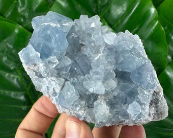 天然セレスチン（セレスタイト）水晶クラスター – マダガスカル産の