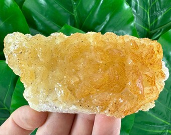 Rare  Yellow-Orange Fluorescent Calcite on Mangano Calcite from Krushev dol mine,Madan,Bulgaria,Calcite collection,Collectors,Uv Reactive,