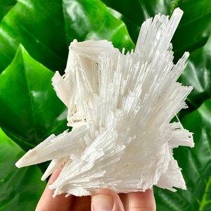 INCREDIBLE Scolecite from India,Big Scolecite,Collections, Scolecite Collection,Huge Scolecite,Museum Scolecite