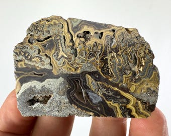 May include: A cross-section of a rock with intricate patterns in shades of brown, tan, gray, and black. The rock has a rough, textured surface with a small cavity. The overall appearance is natural and earthy.