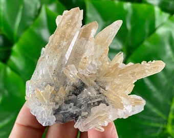 Quartz Calcite Cluster with Iron Oxide - Krushev Dol MineN104