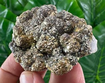 Very nice Pyrite from Androvo mine,Zlatograd,Bulgaria,Natural Mineral,Specimen,Cluster,Crystal,stone,Cluster,Baryte,Bulgarian,N76