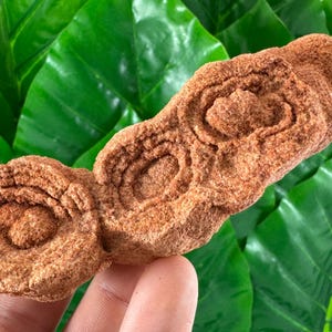 Large Stromatolite from Morocco,Fossil Specimen,Raw Stromatolite Fossil,rough fossilized algae for grounding and meditation,Moroccan Fossil,