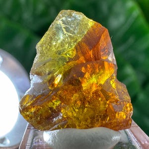 Peut inclure: Un spécimen minéral brut et translucide présentant un dégradé de couleurs vives allant d'un jaune pâle et lumineux au sommet à un orange ambré profond et riche à la base. Le cristal a une surface dentelée et facettée avec des fractures internes.