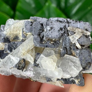 Incredible Galena with Calcite and Pyrite from Borieva  mine,Madan,Bulgaria,Mineral Specimen,Mineral Collection,Crystal N34