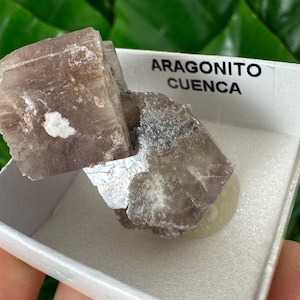 Amazing Aragonite from Spain,Aragonite crystal,cluster,natural,mineral,specimen,Purple Aragonite,Spanish Aragonite,Mineralcollection,
