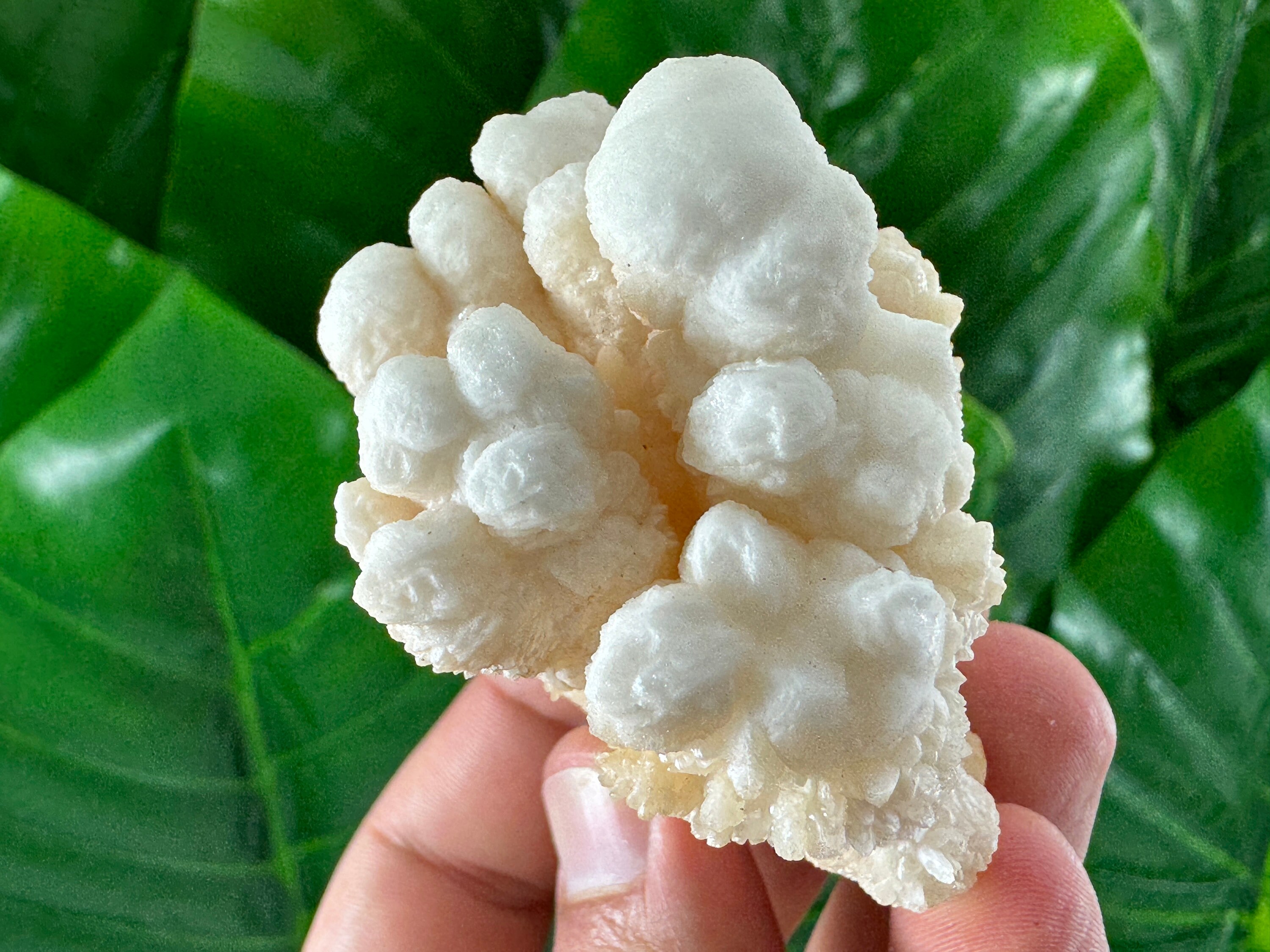 モロッコ産の美しいアラゴナイト、アラゴナイト スプートニク