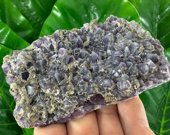 有名なチャラ鉱山産の希少な黄鉄鉱入りアメジスト、ブルガリア産