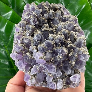 Rare Amethyst with Pyrite from Chala mine Bulgaria,Bulgarian Amethyst,Purple Quartz,Cluster,Specimen,Crystal,Chala mine N565