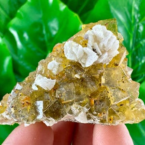 Yellow Fluorite with Calcite from Moscona Mine,Spain,Mineral Specimen,Yellow Fluorite,Fluorite from Spain,Collection,Big Fluorite,