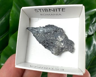 Antimonita de estibina natural de Rumanía: cristal metálico afilado, muestra mineral, caja de 4 x 4 cm