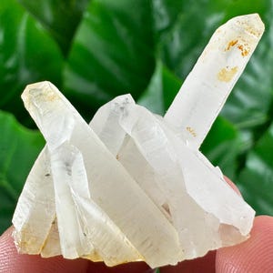 Amazing Quartz with Calcite from Krushev dol mine,Madan,Bulgaria,Inclusions,Mineral Specimen,Calcite Collector’s
