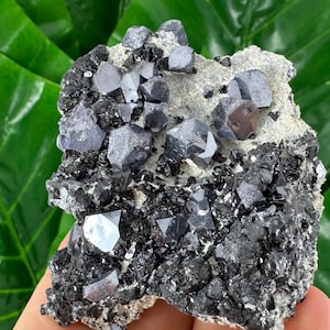 Very nice Galena with Sphalerite and Quartz from Borieva mine,Madan,Bulgaria,Calcite Collector,crystal N535