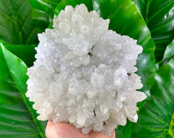 May include: A large cluster of white quartz crystals, with a rough, textured surface. The crystals are clustered together in a dense, rounded shape.