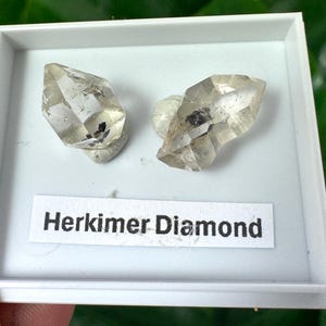 Könnte beinhalten: Zwei klare, facettierte Herkimer-Diamantkristalle mit kleinen dunklen Einschlüssen, präsentiert in einer quadratischen weißen Kunststoffschachtel. Ein weißes rechteckiges Etikett mit dem schwarzen Aufdruck "Herkimer Diamond" klebt unten.