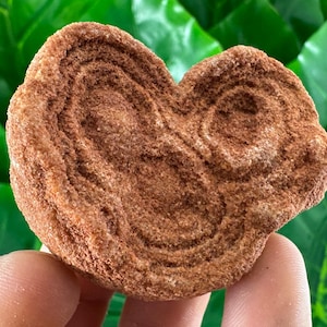 Stromatolite from Morocco,Fossil Specimen,Raw Stromatolite Fossil,rough fossilized algae for grounding and meditation,Moroccan Fossil,