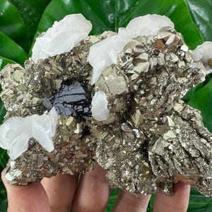 TOP SPECIMEN Pyrite with Sphalerite and Calcite from Trepca,Kosovo,Trepca Stari Trg Mine,Trepca complex,Trepca valley, Mitrovica,N552