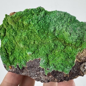 Very rare Pyromorphite from Mechernich, Eifel, Germany, Collector Mineral Specimen,