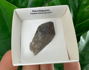 希少なフェデンストック産スモーキークォーツ標本、スイス鉱物