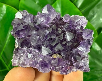Aglomerado de Ametista Uruguaia: Cristal Roxo Profundo para Decoração de Casa