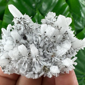 Quartz with Pyrite,Sphalerite from Krushev dol mine,Madan,Bulgaria,Mineral specimens, Cluster,N233