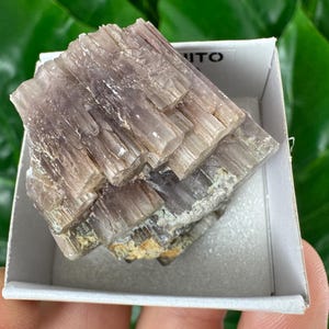 Amazing Aragonite from Spain,Aragonite crystal,cluster,natural,mineral,specimen,Purple Aragonite,Spanish Aragonite,Mineralcollection,