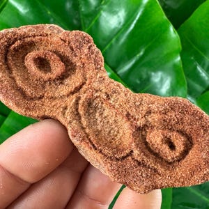 Large Stromatolite from Morocco,Fossil Specimen,Raw Stromatolite Fossil,rough fossilized algae for grounding and meditation,Moroccan Fossil,