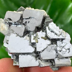 May include: A close-up of a mineral specimen featuring a cluster of gray, metallic-looking crystals. The crystals have a cubic structure and are partially covered with a white, crystalline substance. The background is a blurred green.