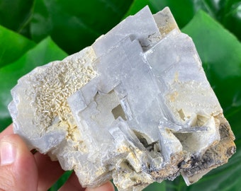 Großer seltener doppelseitiger Baryt aus Bulgarien, Zlatograd, Androvo Mine, Baryt, Barytkristall, Baryt, Barytmineral, natürlicher Kristall, großer Baryt