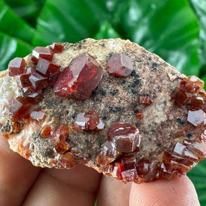 Amazing Vanadinite from Morocco,Crystal, Mineral,Specimen,Cluster,Vanadinite Crystal,Vanadinite,Geology,Vanadinite,Red,Home Decor, N58