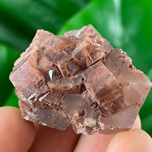 Amazing Aragonite from Spain,Aragonite crystal,cluster,natural,mineral,specimen,Purple Aragonite,Spanish Aragonite,Mineralcollection,